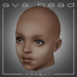 AVA Head Base