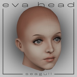 EVA Head Base