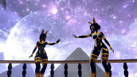 ANUBIS Rabbits