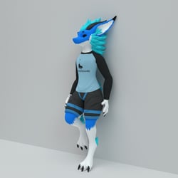 Long sleeve shirt for Nardoragon