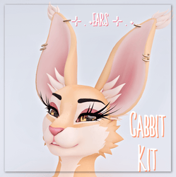 Cabbit kit