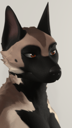 Malinois - Beau Textures