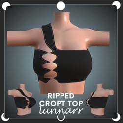 Ripped Cropt Top