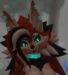 Red Fox KFN