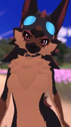 Nova-Dog Pack! Textures only.