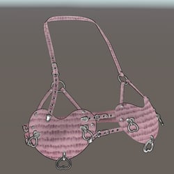 Leather Bra