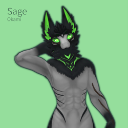 Sage - Druffle Texture