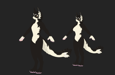Collie Druffle