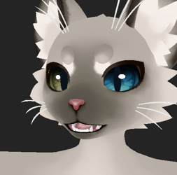 Siamese Mayu Texture