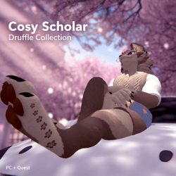 Druffle Cosy Scholar Collection | PC + Quest