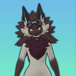 Siamese Cat Nova