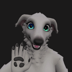 Russian Borzoi - White - TEXTURE