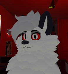 Loona Fluffy Dog Texture 