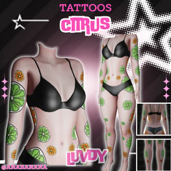 🍊 Citrus Tatts | Luvdy
