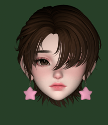 Star Earrings
