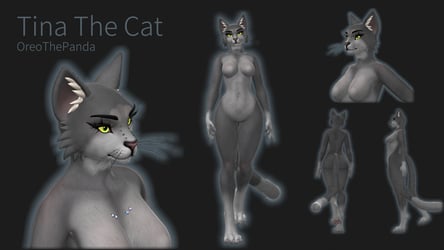 Tina The Cat - Cleo by Foxipaws Texture