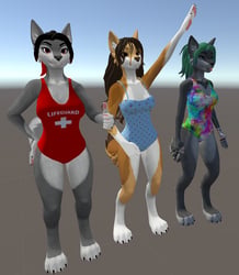 Winterpaw Fem Canine Swimsuits