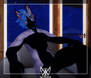 Inverted Husky - Foxipaws Dante