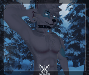 Ice Husky - Foxipaws Archer