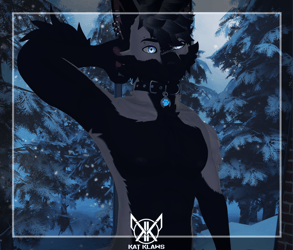 Inverted Husky - Foxipaws Archer