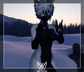 Inverted Husky - Foxipaws Aurora