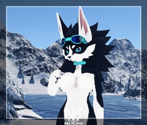Black Husky - Novabeast