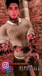 Alpha Ace