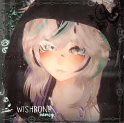wishbone ;; pc + q + ft