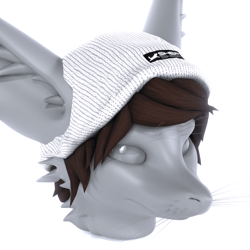 Flex Fit Beanie