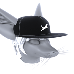 Flex Fit Baseball Cap