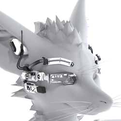 Head Augmentation