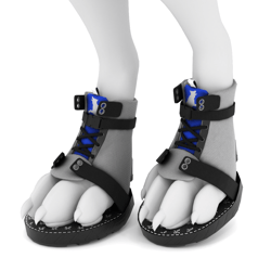 Bean Shoes for Rexouium and Canis Woof