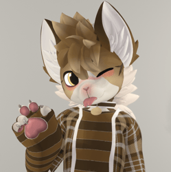 Meowl Cat Goobastera Texture