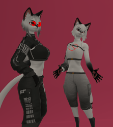 PnC Vix Cyber Cat