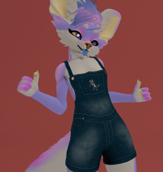 PnC Fennek Overalls