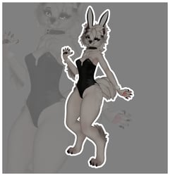 PnC Pubbchi Bunny