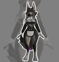 PnC Maid