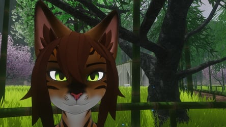 Toyger Texture for the Vixine!