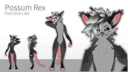 Possum Rexouium Texture