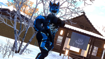 Reyna The Ice Dog