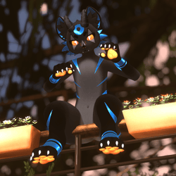 [Mayu oyama] Charcoal cat with cobalt accents