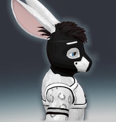 Pup Gear for Crispy Bunny