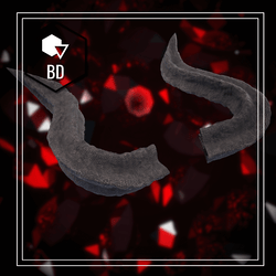 Horns
