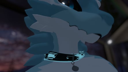 Druffle Collar 