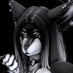 Raven - (Foxipaws Nebula Texture)