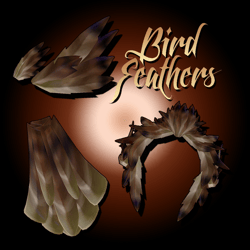 Feather Accessories