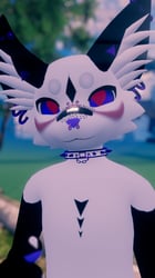 Mayu Texture