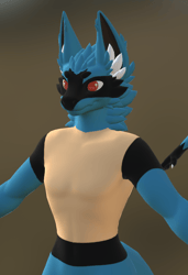 Lucario Druffle