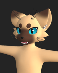 Mayu Texture