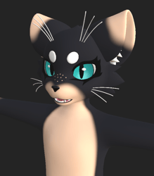 Mayu Texture